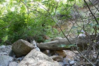 ldaia del Drago25-07-2015 20-17-36
